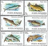 Rumänien Prophila Collection Rumänien 4776-4781 (kompl.Ausg.) postfrisch ** MNH 1992 Fische (Briefmarken für Sammler) Wassertiere
