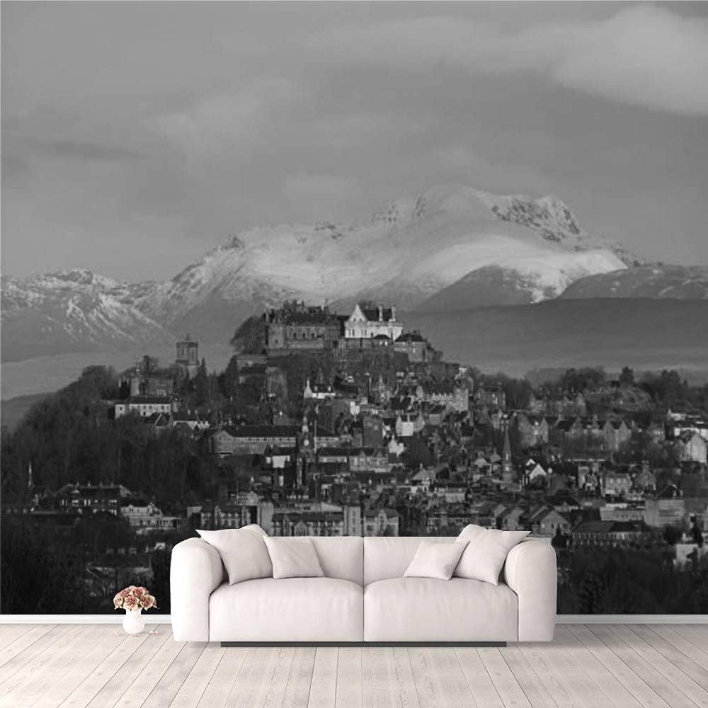 Paysage De Château Rétro en Papier Peint 3D pour Habiller le Mur du Salon
