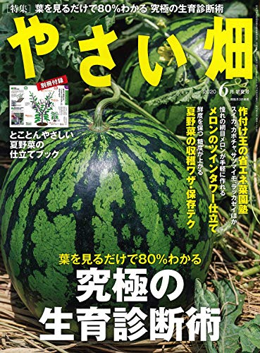 PDFダウンロード やさい畑 初夏号 2020年 6月号 バイ
