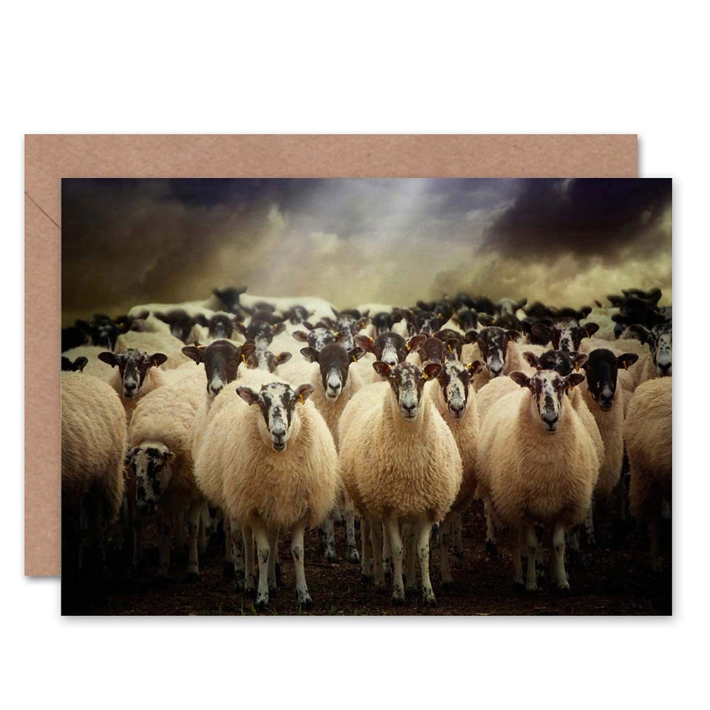 Wee Blue Coo Blue Wee Coo Sheep Flock Farm Animal Photo Birthday Gift Blank Greetings Card