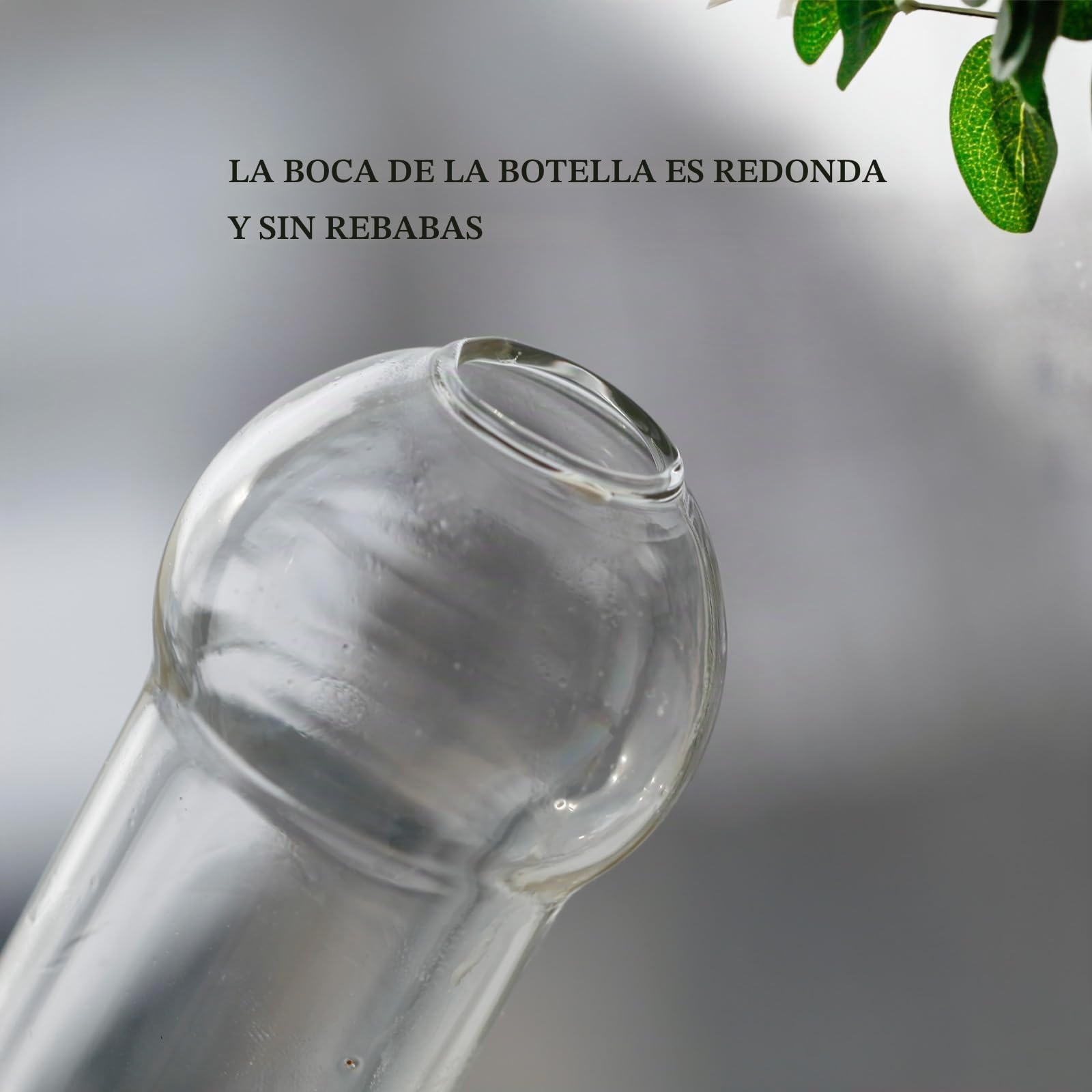 Klein bottle Interesante decantador de cristal para hombres, único y divertido dispensador de whisky y vino, para familias, bares, fiestas (550 ml) LOP-456