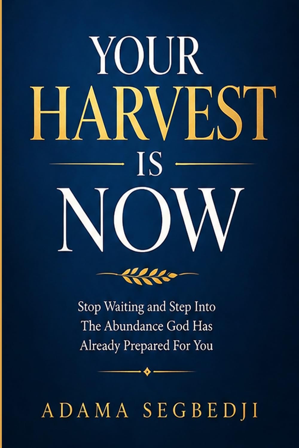 Your Harvest Is Now: Stop Waiting and Step Into The Abundance God Has Already Prepared For You