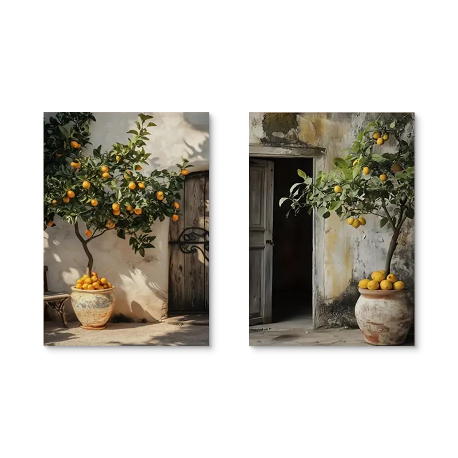 TROYSINC Lot de 2 posters motif plantes méditerranéennes citronnier olivier 50x70 cm sans cadre