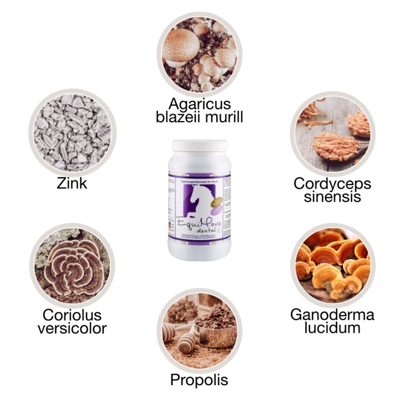 Vitalpilze und Propolis Pellets 1,5 kg Ergänzungsfutter für Pferde Maulhöhlengesundheit