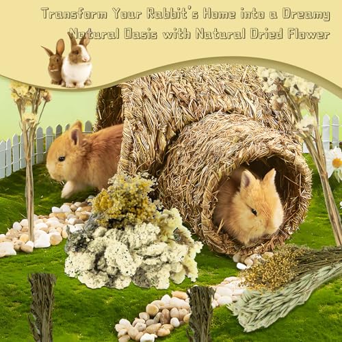 Image of Sukh 47pcs Hamster Sprays - Natural Flower Herb Bedding Forage Mix for Cage