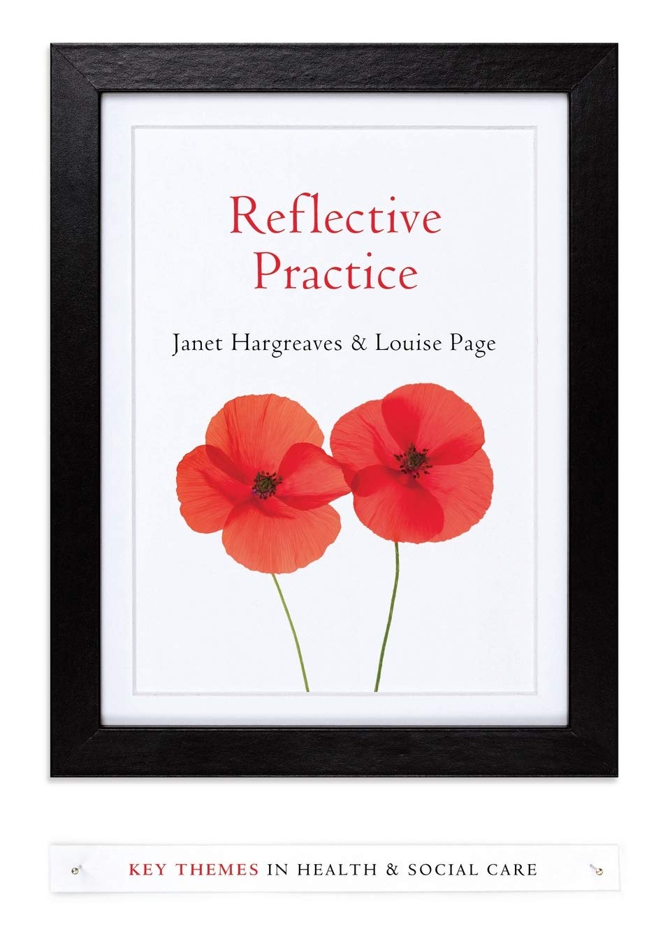 Reflective Practice by Janet Hargreaves PAPERBACK 9780745654249