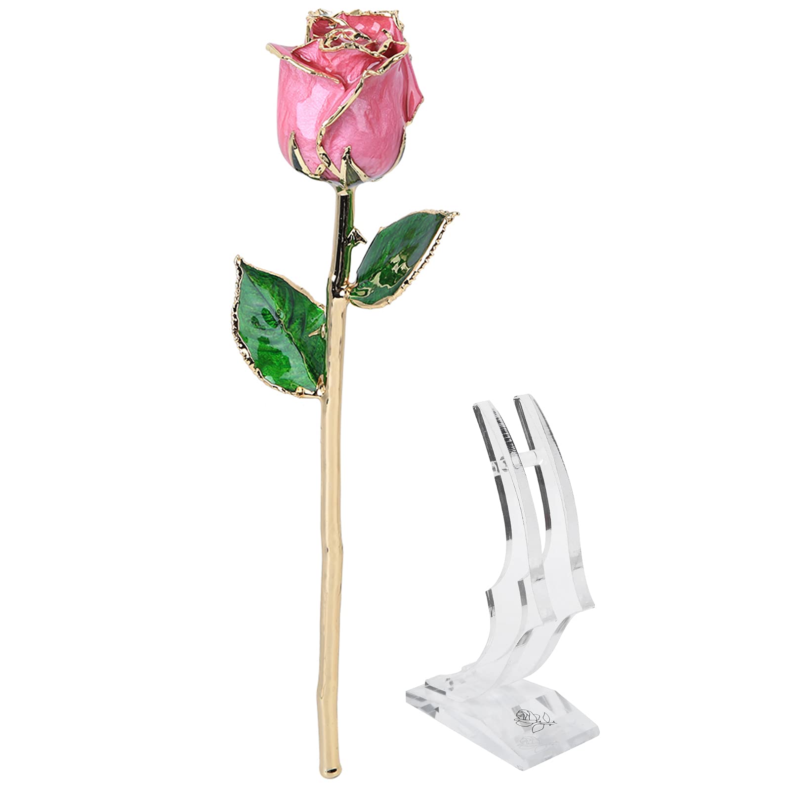 San Valentín Romántica Flor de Rosas Reales Chapada en Oro de 24 Quilates