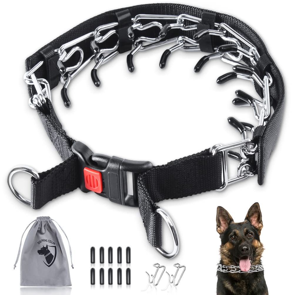 Can You Hurt A Dog With A Choke Collar