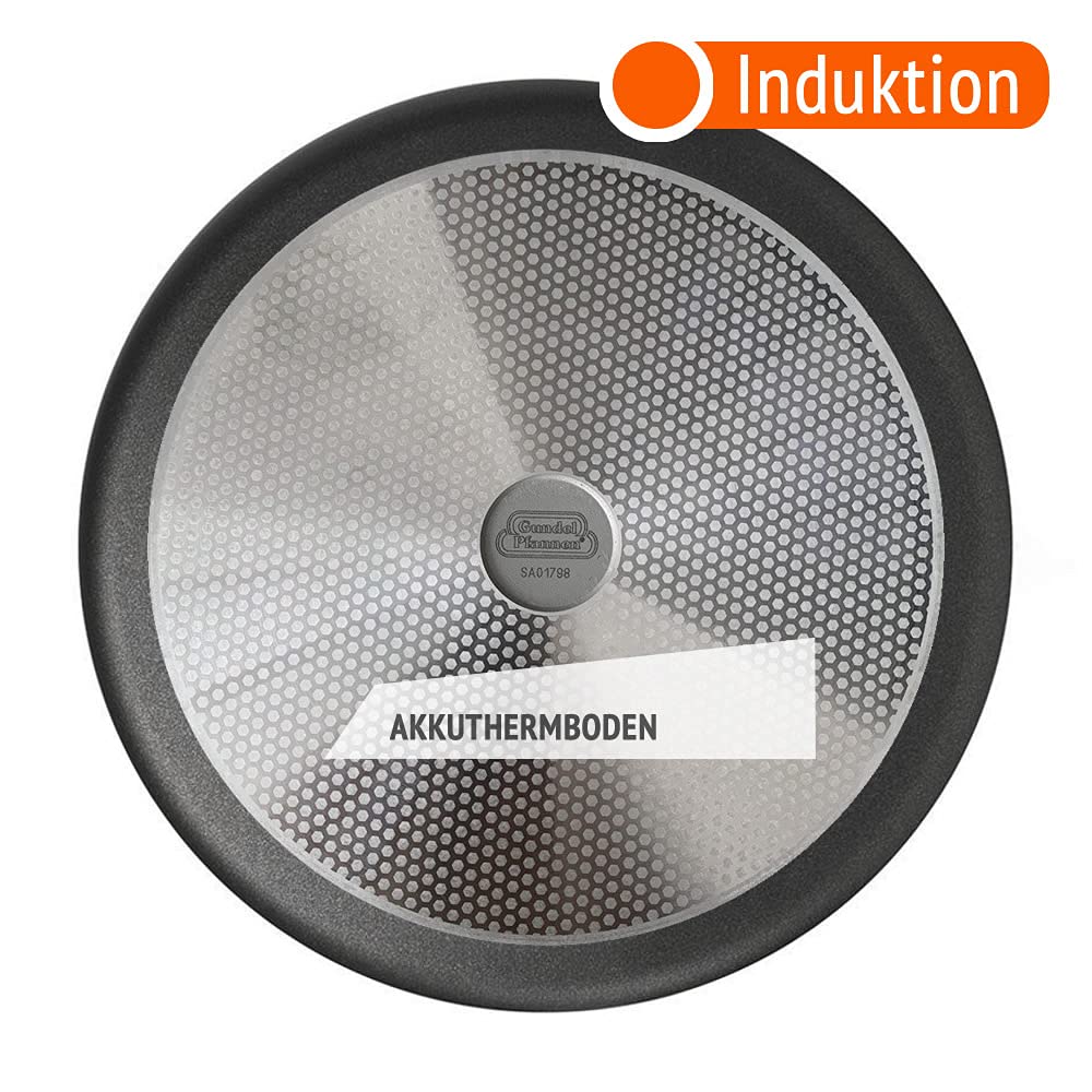 Original Gundel GUSS-UNIVERSAL-TOPF MILCHTOPF INDUKTION, Ø 20 cm, Höhe 11 cm, BIOTAN-Oberfläche, PFOA-frei, Akku-Therm Boden - Kasserolle mit Stiel