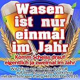  Wasen ist nur einmal im Jahr - Komm Scheiss drauf eigentlich ja zweimal im Jahr (Wir feiern am liebsten dreimal auf dem Cannstatter Volksfest mit den Schlager Party Hits 2013 bis 2014)