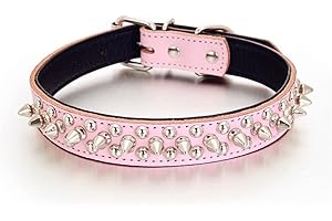 1" Genuine Leather Spiked Collar for Small Dogs