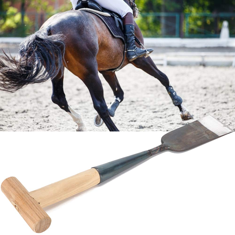 View 4