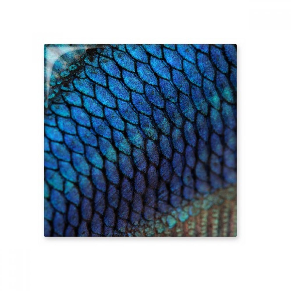 Carreaux de céramique Poisson Bleu pour une ambiance marine en cuisine