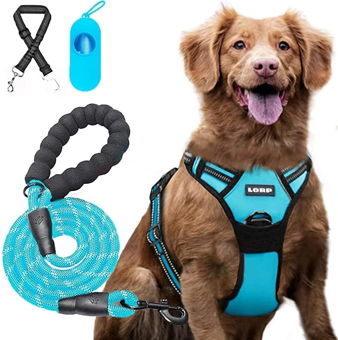 How Do You Secure A Dog Harness