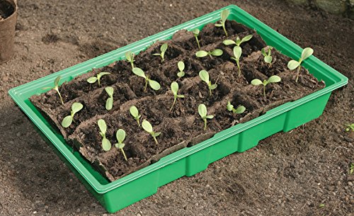 Biotop Packung mit 5 Samen-Tabletts (35 x 23,5 cm), Mehrfarbig, 1 x 1 x 1 cm, B2010