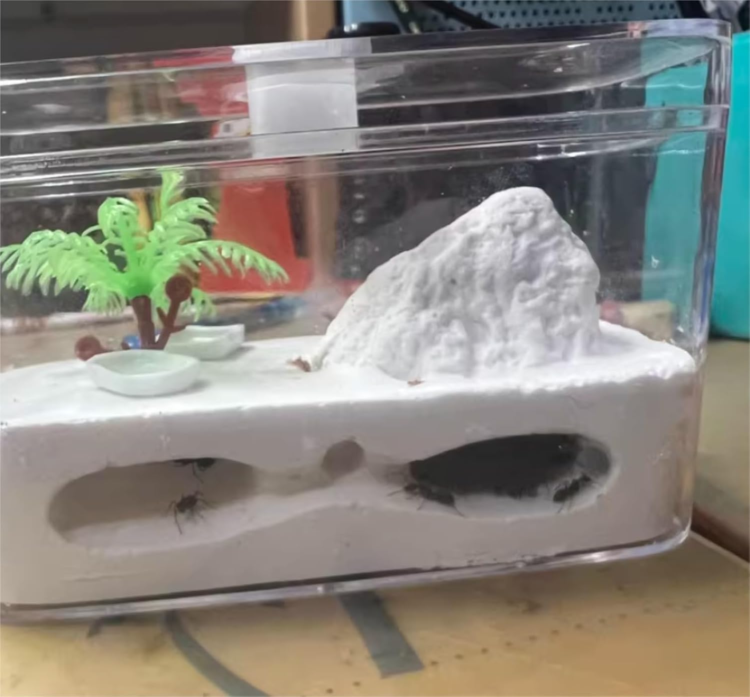 Ant Farm Ant Farm Castle Gypsum Habitat for Ants Feeding Ecosystem Science Experiment Formicarium Habitat