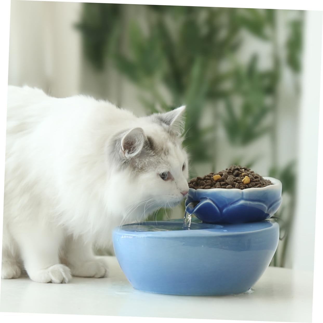 Dispenser Automatico in Materiale 1,5 l Antispreco per Gatti e Cani, Dosatore D’Acqua Filtrante da Casa