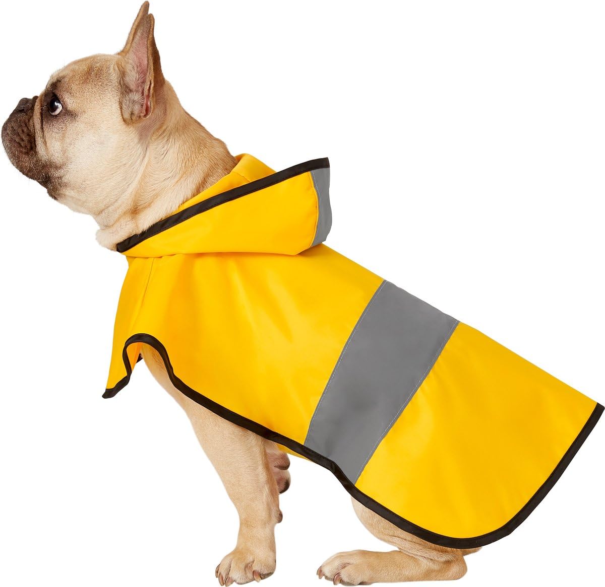Pawsindia Dog Raincoat for Labradors, Golden Retrievers, German Shepherd, Rottweiler & Similar Breeds-X-Small (B0CB4BP1FV) Amazon Price History, Amazon Price Tracker