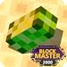 Block Master 2000 - Gioco di puzzle a blocchi
