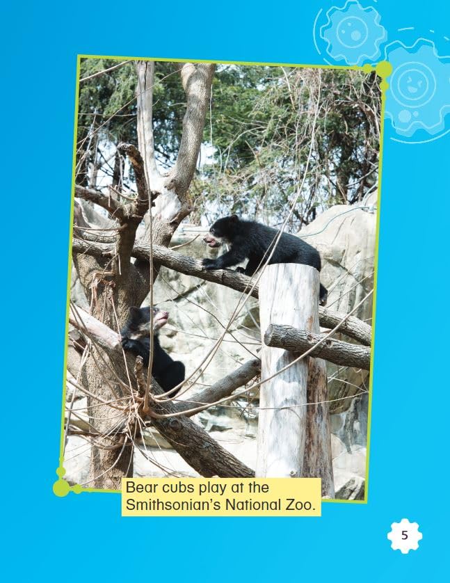 Solving Problems at the Zoo (Smithsonian: Informational Text) - Image 5
