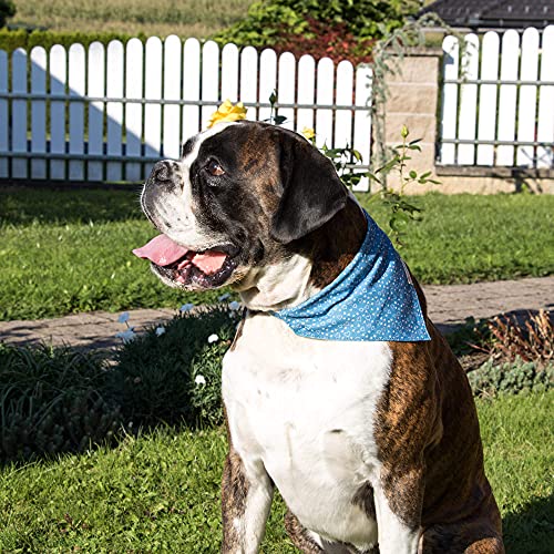 Hundehalstuch mit Halsband und Freundschaftsarmband von Pettsie, Verstellbare Größen S, M, und L, Abnehmbares Bandana Tuch, Inklusive, Hundeliebhaber, M, Blau