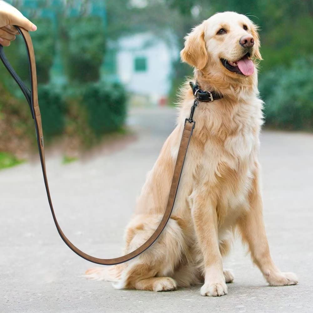 Didog Collier de Chien en Cuir Souple rembourré personnalisé, Plaque avec Gravure, Tailles Petite, Moyenne ou Grande