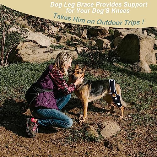 Image of Dog Leg Support - for Leg Wounds After Surgery for Ligament Tears, with Support Strips to Protect The Dog's Leg Wounds. Breathable and Comfortable（M）