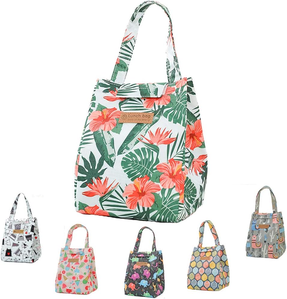 Il meglio delle borse frigo rigide