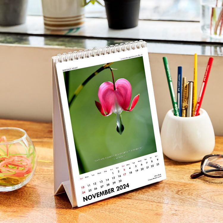 Image of Tallenge - Floral - 2023 Wall Calendar - 12 x 17 Inches for Home & Office (Paper, Wall Calendar)