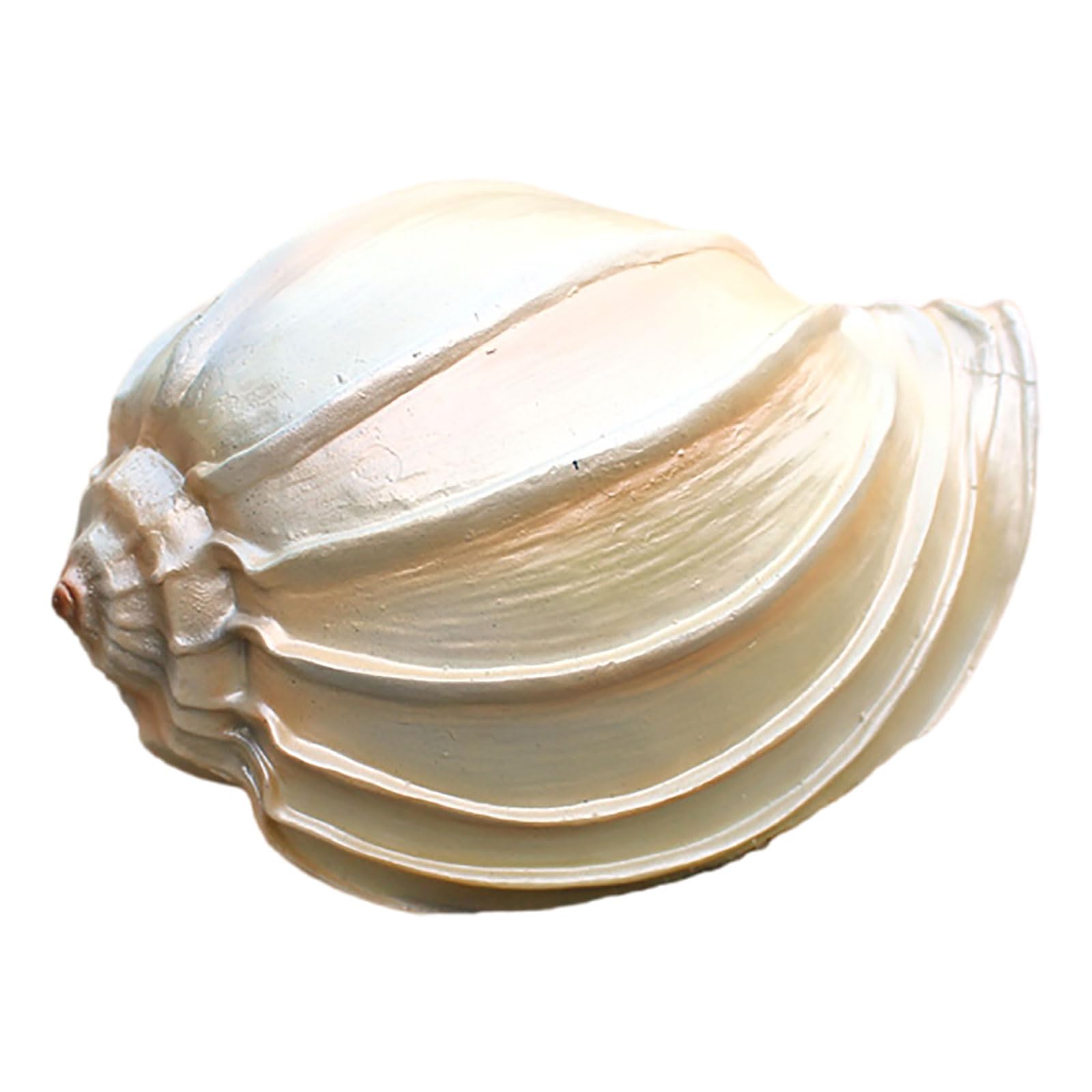 Coyouco A Seashells, Large Se Shells, Conch Se Shell, Large Conch Shell, Shell Decor For Beach Theme Party Wedding Home Decor Diy Crafts Fish Tank,