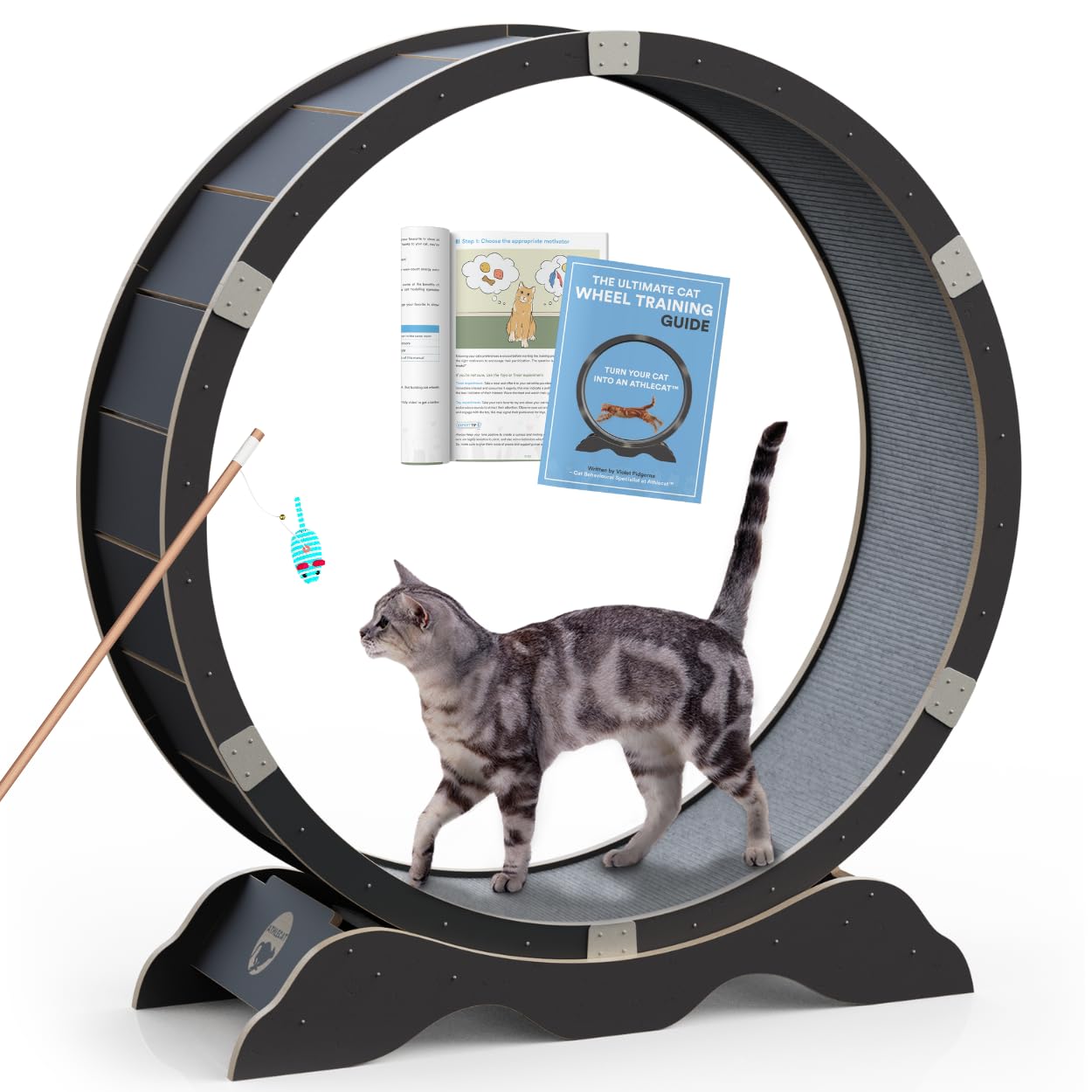 Buy Athlecat Cat Exercise Wheel Training Guide and Toy Included 40'' Wheel Diameter Cat