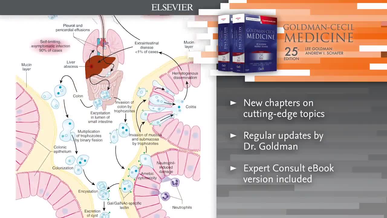 Goldman-Cecil Medicine, 2-Volume Set: Goldman MD, Lee, Schafer MD