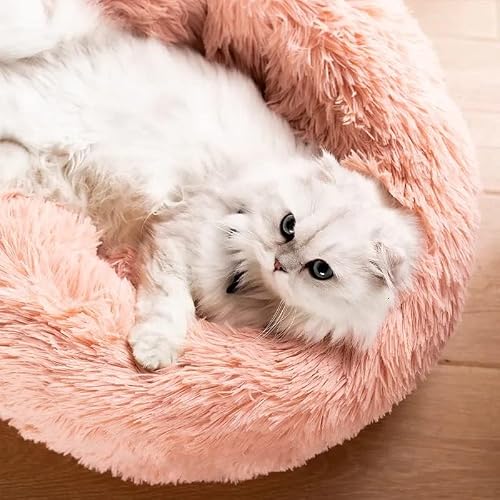 Cat Beds for Indoor Cats - Cat Bed Washable 20/24 inches, Dog Beds for Small Medium Dogs, Anti Anxiety Round Fluffy Plush Faux Fur Cat Bed,Thick Bottom Keep Pets Off The Cold Tile - Thumbnail 4