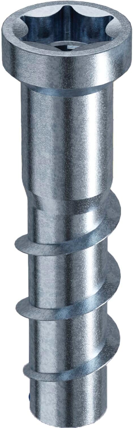 Rampa Socket Type TSM M10 x 40 for Concrete and Masonry - Screw-In Sleeves with Hexagonal Socket Drive TX60 ETA-23/0542, Galvanised Steel - Pack of 10