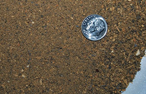 Fossils, Meteorites, & More NANTAN Iron Meteorite Particles 200 Gram Craft #646