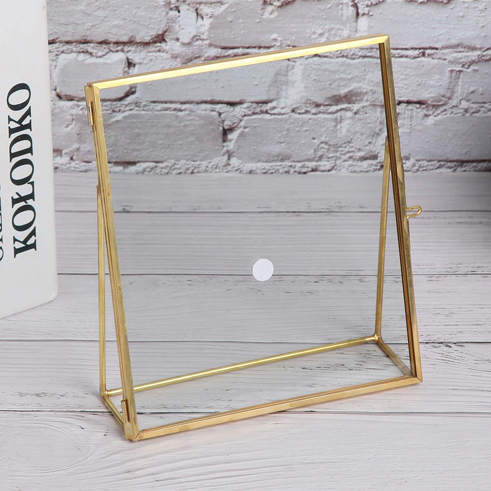 Restokki Specimen Holder Display Frame, Geometric Glass Plant Specimen Display Frame Sturdy Home Living Room Bedroom Decoration Gold