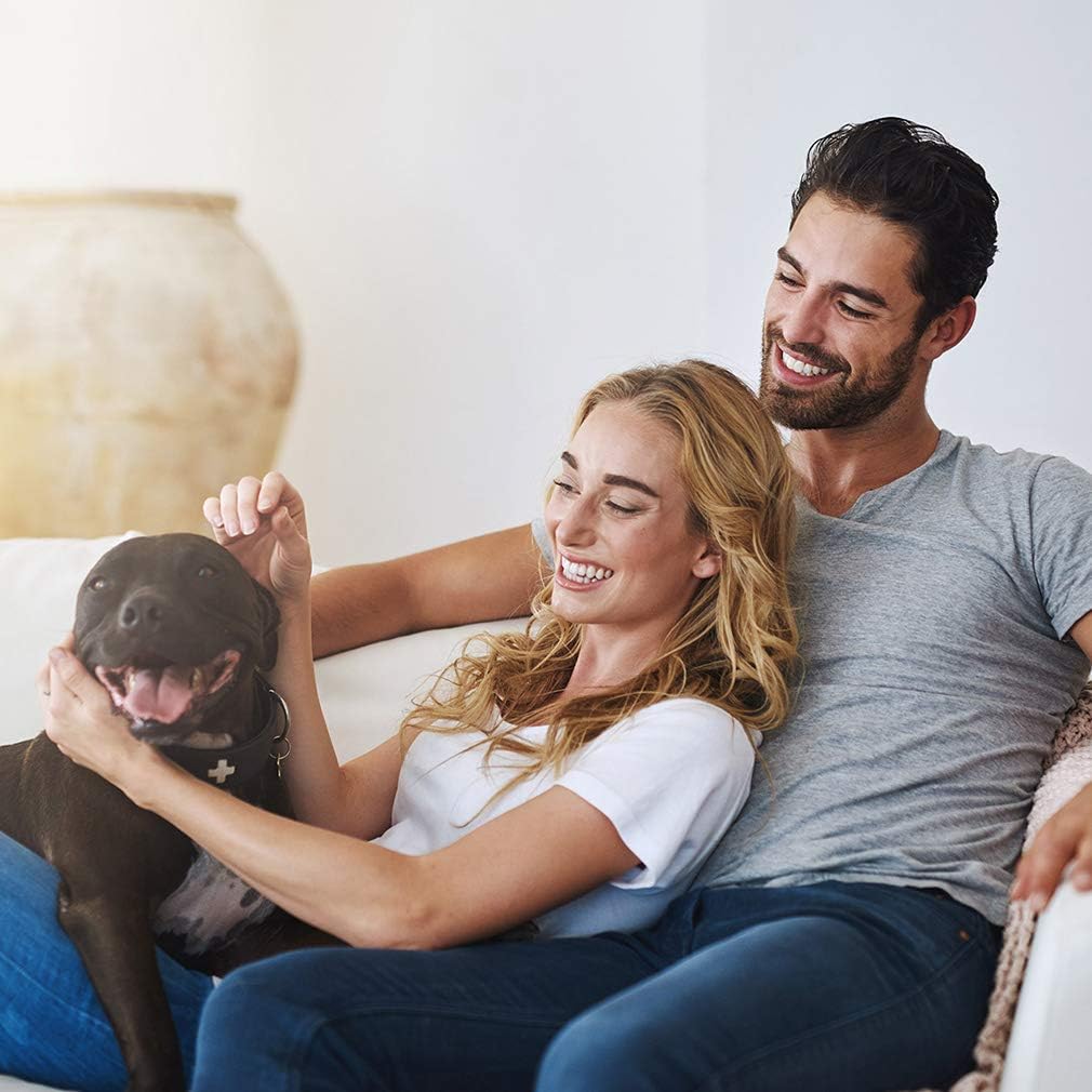 Pet Stroller 4 Wheels Posh Folding Waterproof Portable Travel Cat Dog Stroller with Cup Holder,Blue : Pet Carrier Strollers : Pet Supplies