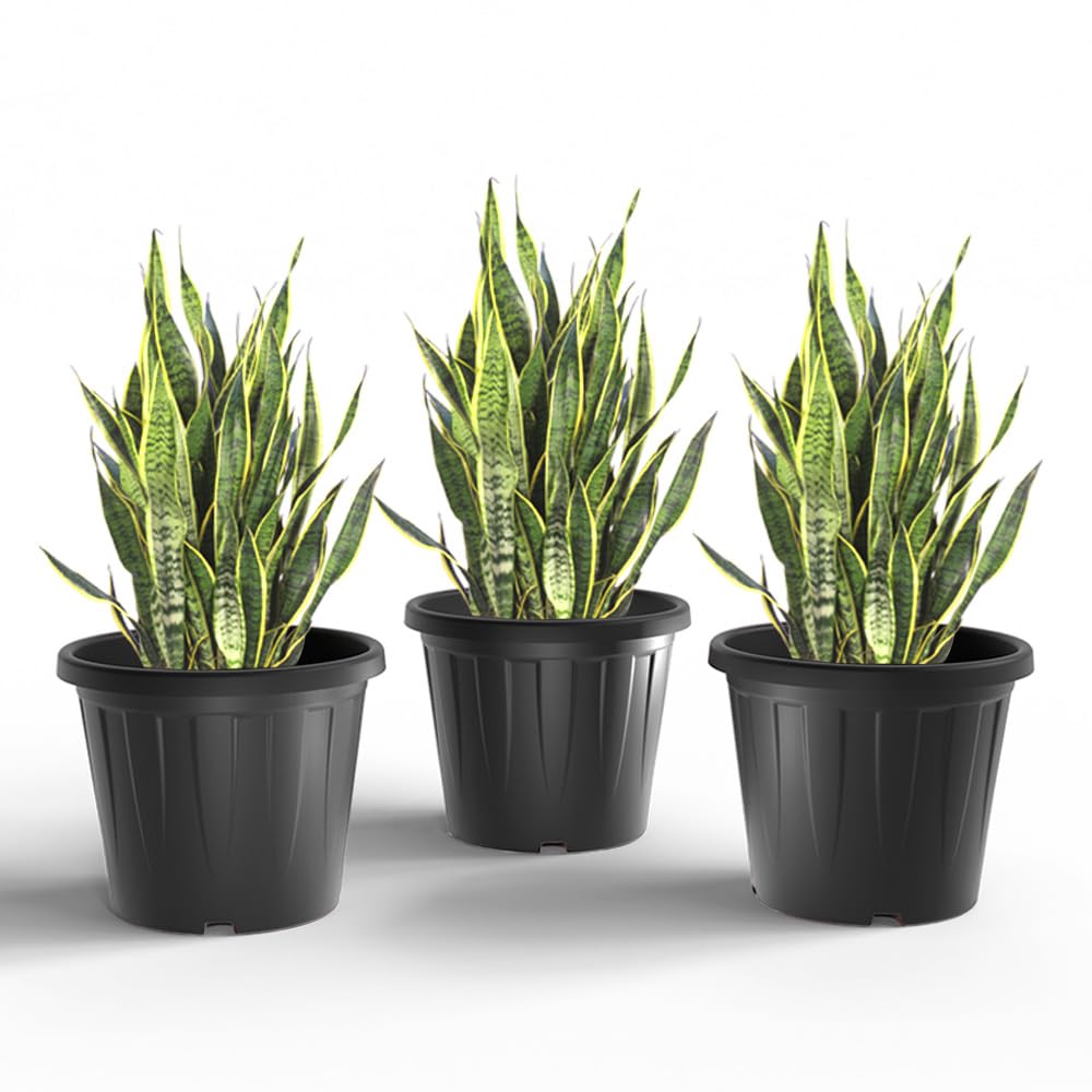 YUCCABE ITALIA 6 Pack White Nursery Planters -24