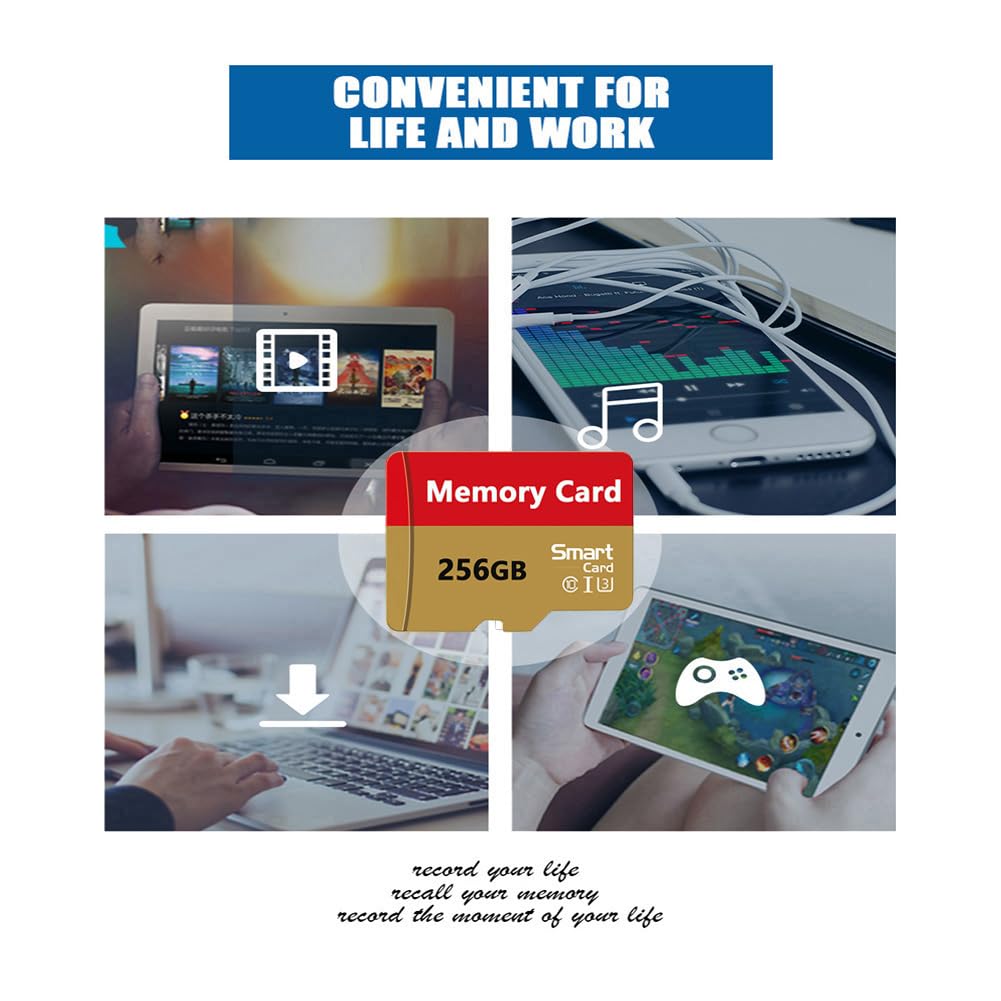 Carte mémoire 256 Go Mini carte TF ultra haute vitesse pour téléphones Android, caméras d'action, tablettes Stockage étendu