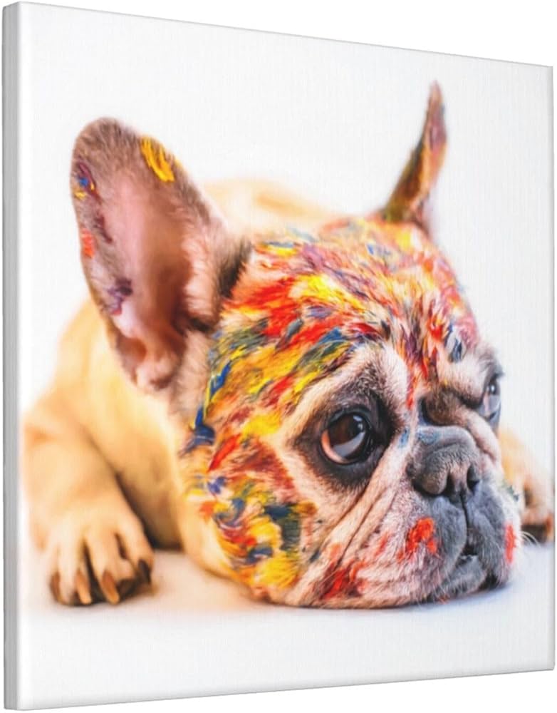 Amazon.co.jp: アートフレーム 30*30cm アートパネル カラフル