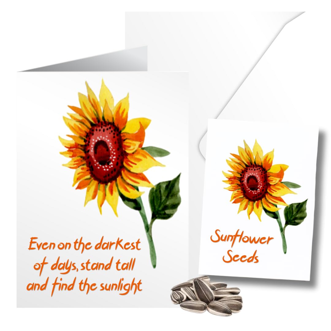 Sympathy Card Gift of Sunflower Seeds Matching Seed Packet Memory Card - Find The Sunlight