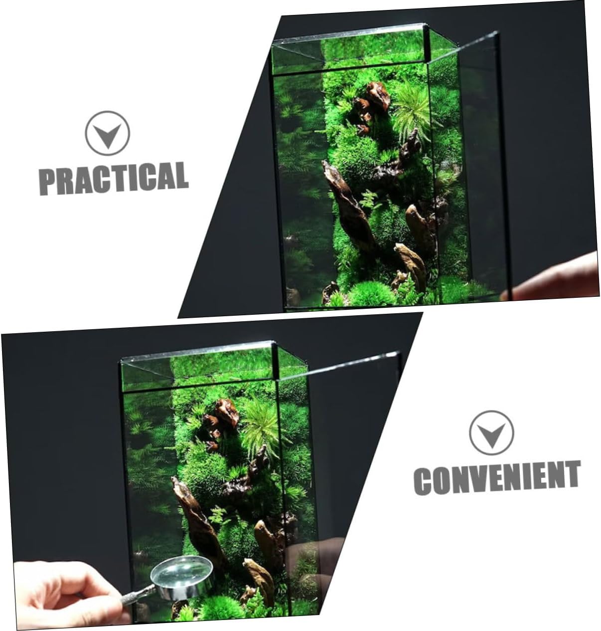 POPETPOP Micro Landscape Terrarium Holder Artistic Glass Container for Desktop Plants Miniature Ecosystem for Home Office Decor for Moss Succulents