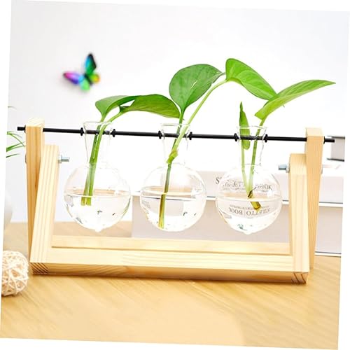Miniatura 2 de Artibetter Decoración de madera Soporte para plantas de mesa, soporte transparente, maceta de vidrio de mesa, maceta de aire de vidrio, bulbo,
