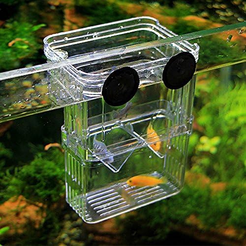 Aquatic Fish Breeding Tank Incubator, Aquarium Hatchery Box for Baby Fish (Large, 5.1"x3.94"x 2.75")