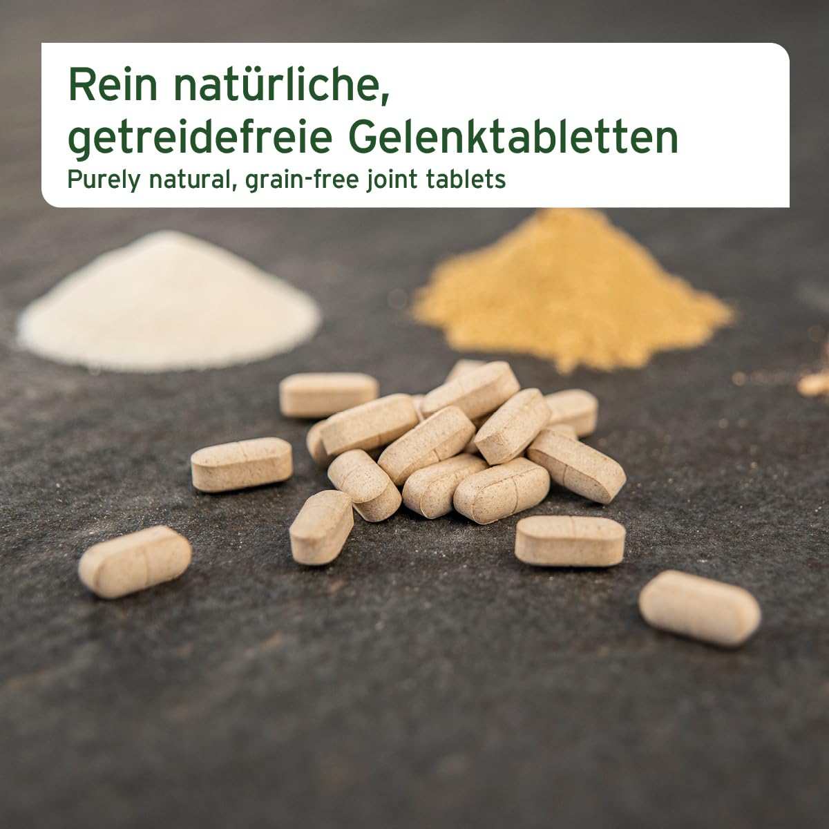 AniForte Gelenktabletten Hund AgilityVet 120 Stück - Natürlich & getreidefrei, fördert Mobilität & Bewegung, Gelenktabletten für Hunde mit Grünlippmuschel, Kollagen, Omega 3 & Teufelskralle