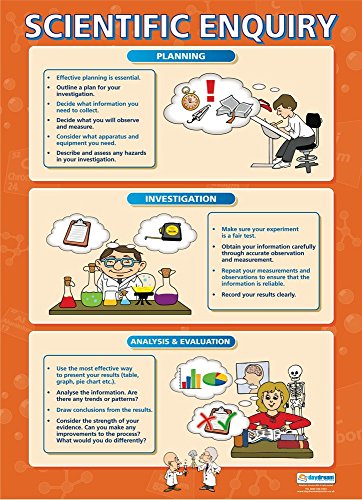 Daydream Education The Skeletal System - Póster Para Aula