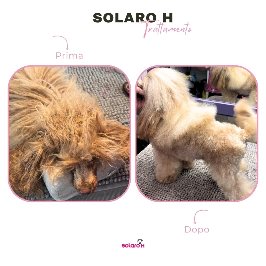 Solaro H | Spray Démêlant pour Chien Super Flash Gold 250ml, Hydrate, Adoucit, Protège Le Poil, Traitement Démêlant, Spray Délier Les Nœuds instantanés - Made in Italy