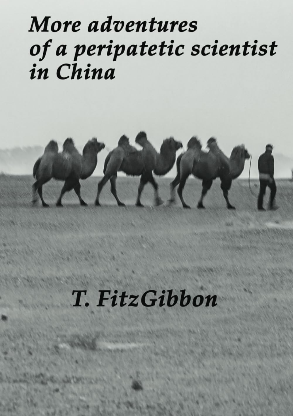 More adventures of a peripatetic scientist in China: Grappling with language and other things
