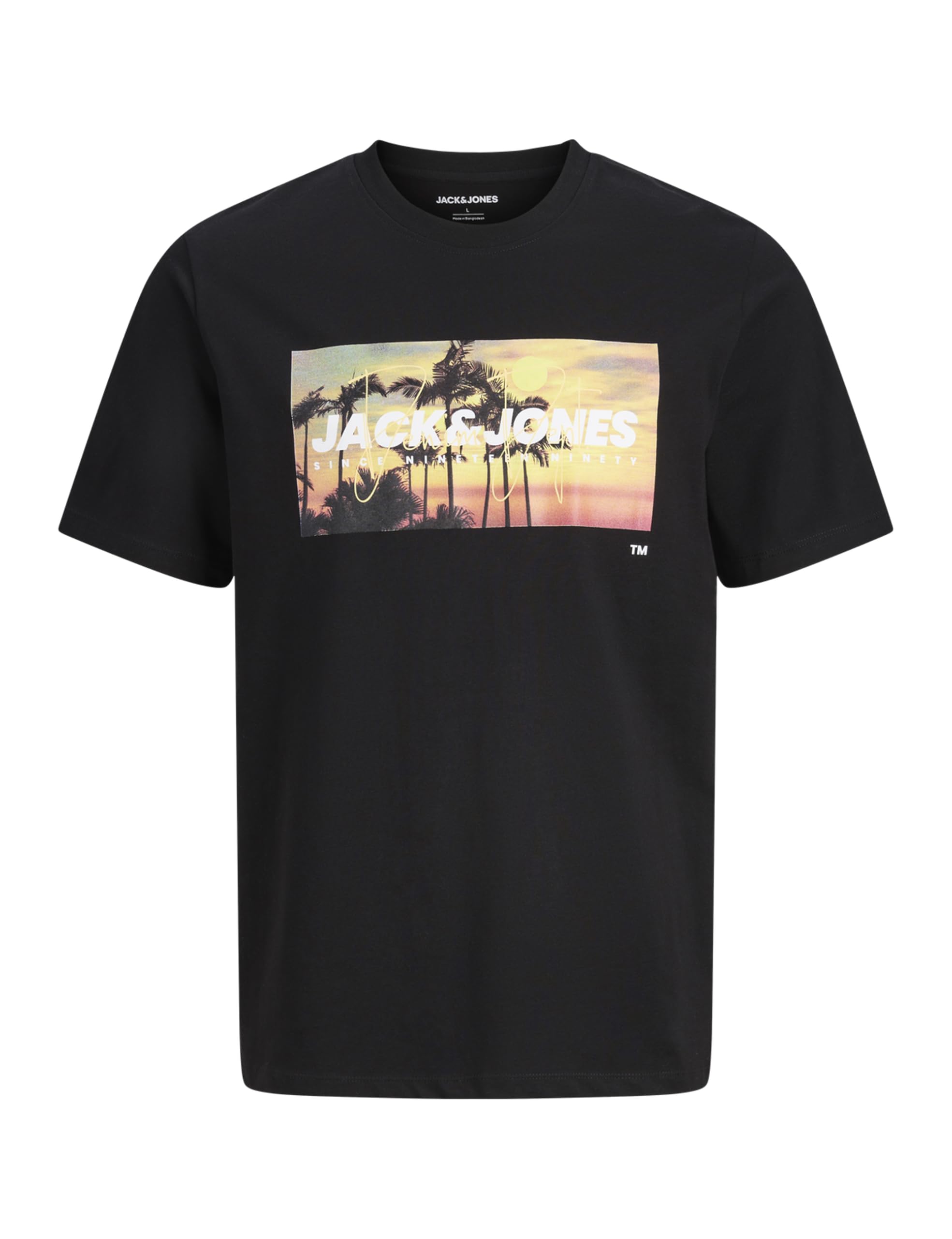 JACK & JONES Jjindiana Tee Ss Crew Neck