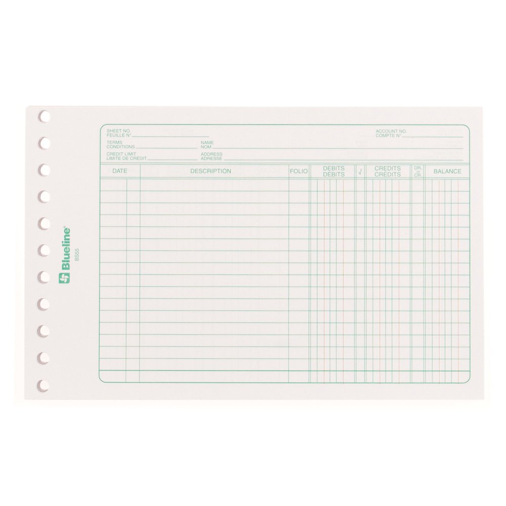 Blueline Mini-Ledger Sheets, 11-Hole Punched, 100 Sheets, Bilingual, 5 ...